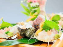 まごころの宿丸定