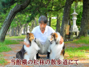 ペットと泊まれる宿　まつしん